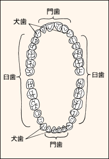 第5回 多彩な原料が健康に効果 本格焼酎と泡盛